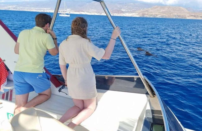 Los Cristianos Whale + Dolphin Watching Boat Tour - Photo 11