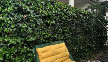 Apartamento 4 en chalet,mascotas si - Foto 5