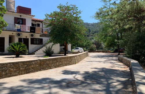 One Bedroom Apartment With Kitchenette# 12 A - Foto 8