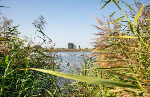 Ferienhaus Im Teichland Linum - Photo 27