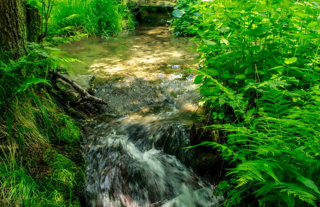 3 bedroom House in Lipno nad Vltavou with garden - Photo 24