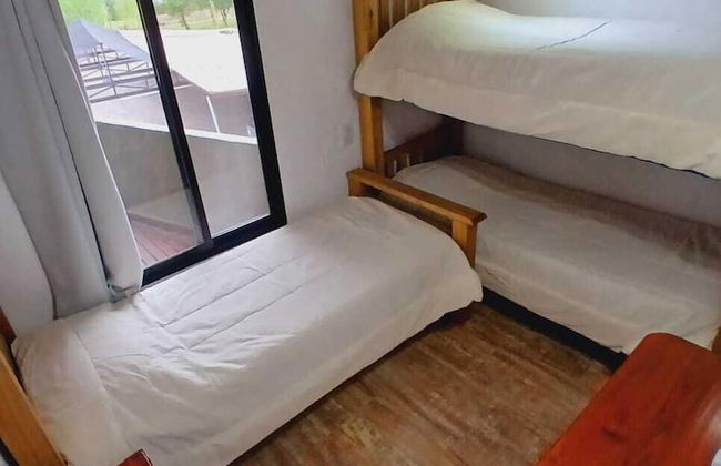 La Divina Pereza Eco - Foto 12