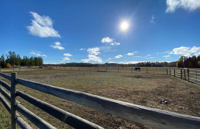 Woodhouse Cottages and Ranch - Foto 45