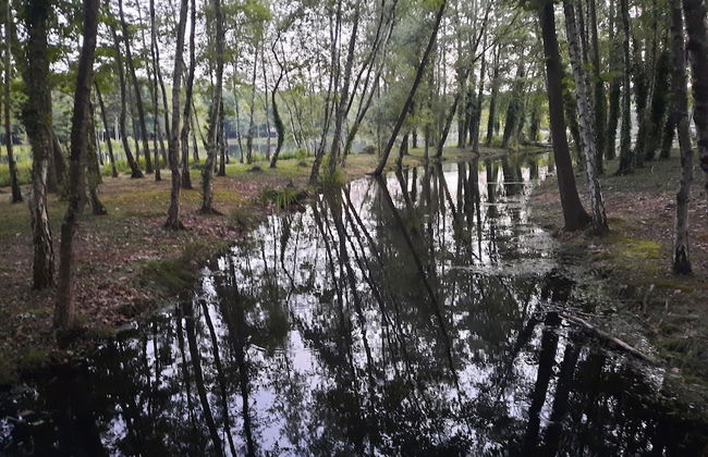 Detached House in Lanaken With Large Garden - Foto 32