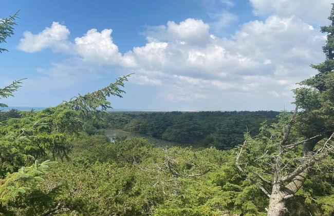 4 Person Holiday Home in Fano - Foto 5