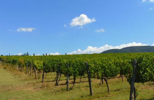 Agriturismo Circugnano - Foto 22