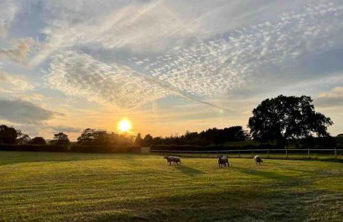 Sunset View one bedroom luxury cottage in an idyllic setting - Foto 19