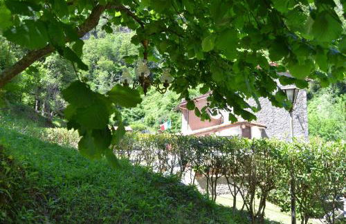 Casa Vacanze IL BOSCACCIO "Casa Serena" - Foto 15