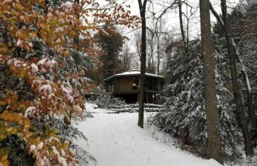 Imaginative Octogonal Glass Treehouse on Seven Private Acres near Great Barrington, MA - Foto 25