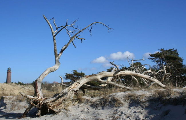 In the Villa Wiesenweg - Foto 15