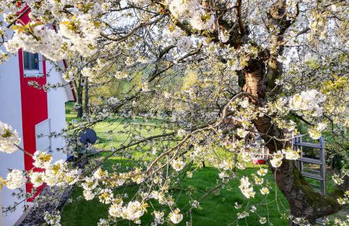 Ferienhaus Görmer mit Wasserbett - Foto 33