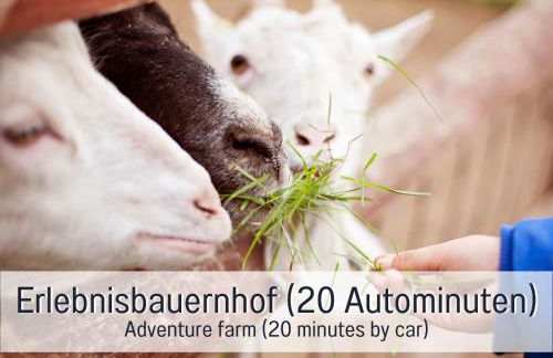 Schindelhäusle: sonniger Garten | Hunde erlaubt - Foto 79