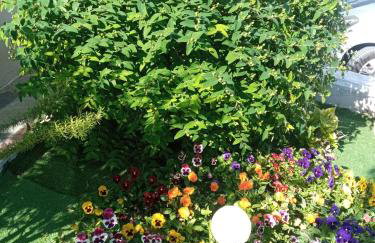 Η Αυλή - Photo 17