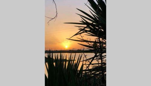 Apartamento Las Dunas - Foto 3