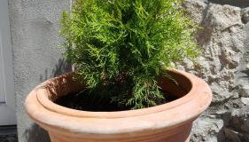 Casa Nora - Foto 3, Garden