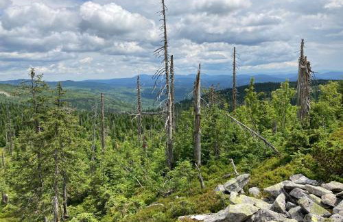 Apartment Landhaus Wildfeuer by Interhome - Foto 41