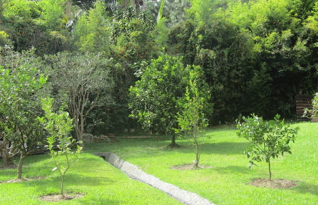 River Front Cabains - Foto 67