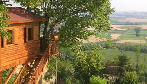 Casa sull'Albero Aromantica - Foto 2