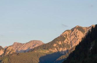 Wildgrün Mini Lodge 8a - Foto 7