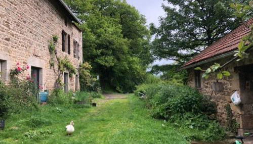 Les Abeilles - Foto 5