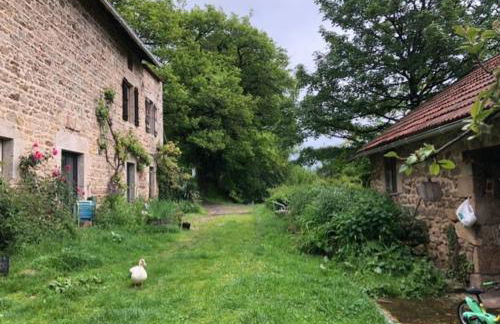 Les Abeilles - Foto 5