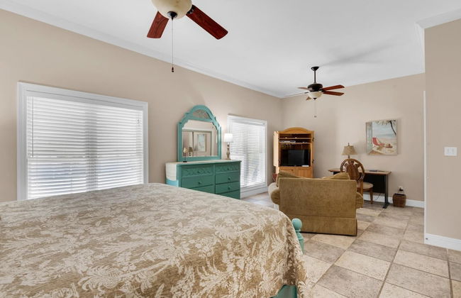 Blue Pelican - Foto 8