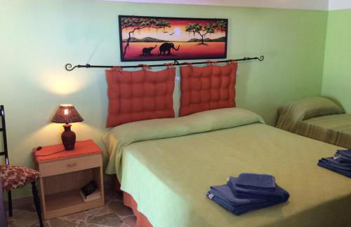 Venus Dream - Foto 47