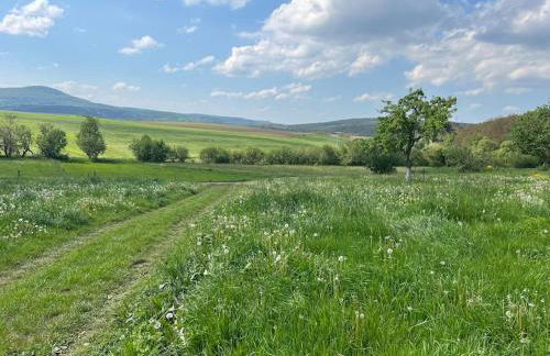 4 Sterne FeWo Rhönland-Erlebnis in Bernshausen - auch für Wanderreiter - Foto 64