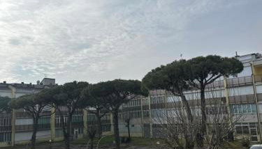 Frontemare - Foto 3