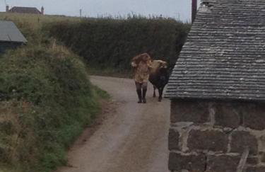 Trengothal Barn - Photo 32