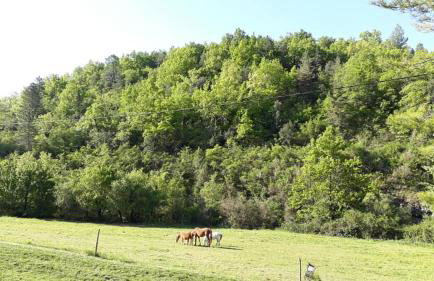 Gîtes du Domaine de Serre Long - Foto 12