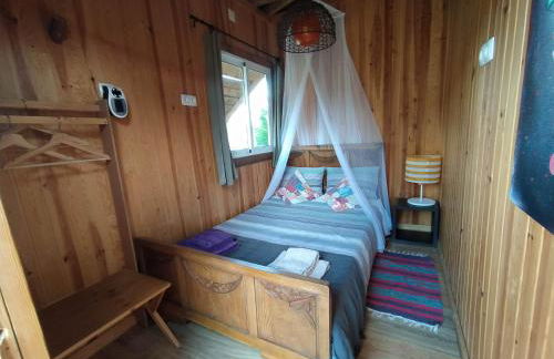 Herdade da Hera - Foto 13