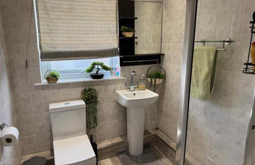 Silky & oak stays - Foto 20