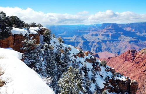 Rogers Cabin Historic Log Cabin in the Woods Near Grand Canyon Flagstaff - Foto 28