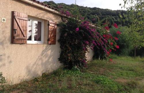 Residence Cucunacciu - Foto 32