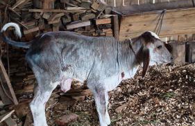 Pousada Rancho do Lago - Foto 43