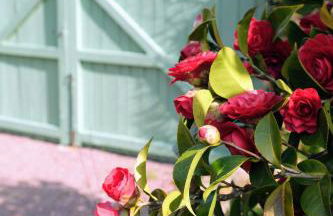 Le Nid Bohème - Foto 10