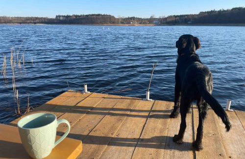 Sercem i Kopytem - Foto 36