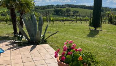 Villa Nardelli - Foto 3