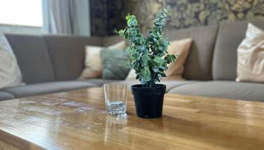 Kleinstadtparadies - Foto 4