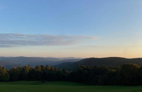 Les Hauts de la Piquante Pierre - Foto 9