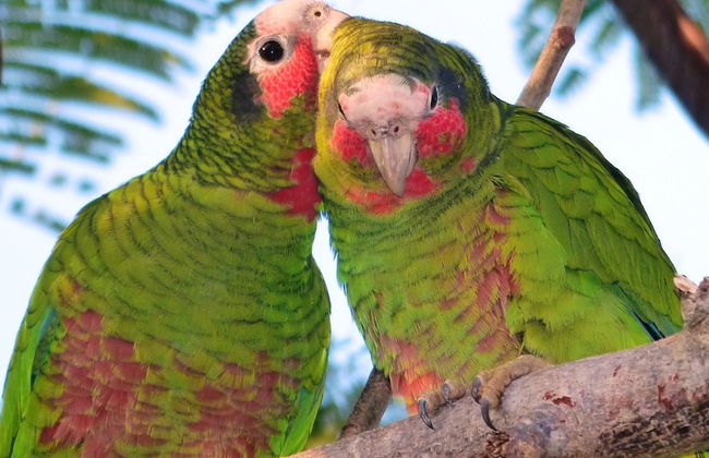 S3 BP Steps to Beach - Photo 42