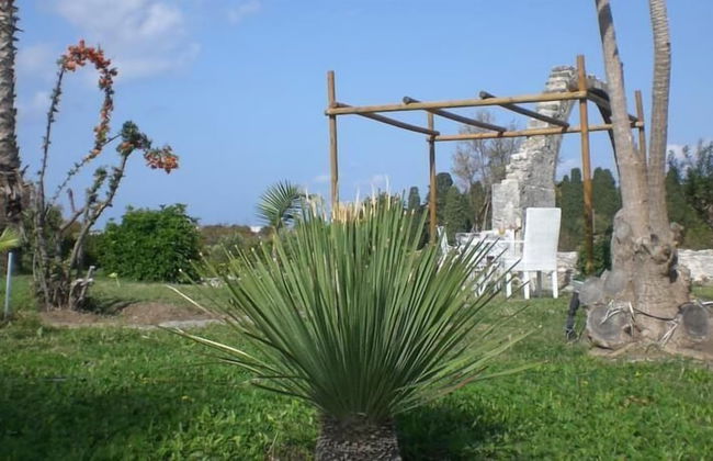 Eftihia Studios - Photo 29