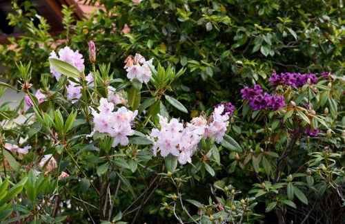 Casas de Pedra - Foto 72