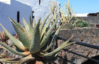 Casa Rural Finca Isabel - Foto 18