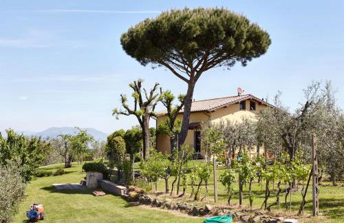 Podere La Casuccia - Foto 24