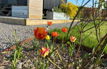 The Winford Retreat - Foto 59