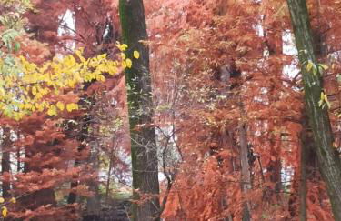 Holiday house - Leo & Malù - Foto 23