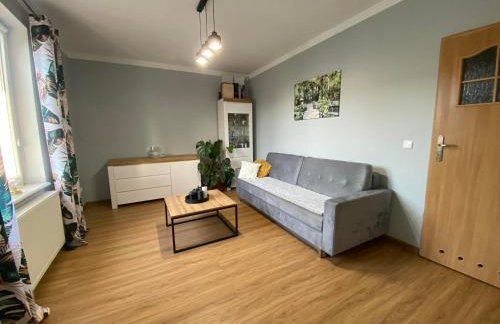 DREW BUD Spółka z o.o. Artur i Monika Oleksiuk - Foto 8