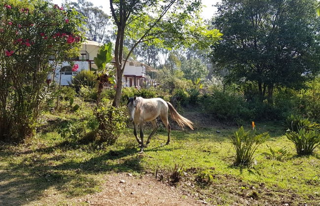 Rancho con Caballos El Reencuentro - Foto 74
